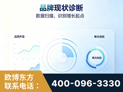 安宁-品牌现状诊断